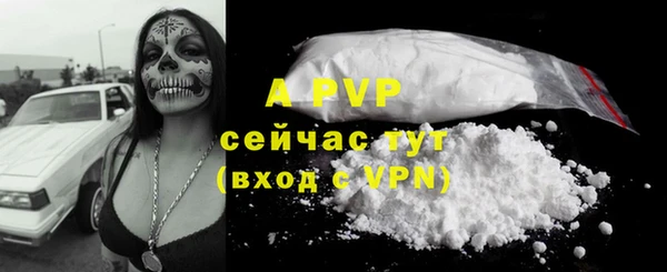 СК Аркадак