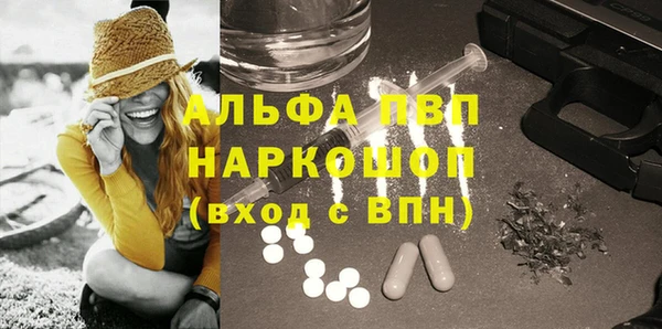 ECSTASY Алзамай