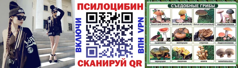 Галлюциногенные грибы Cubensis  где можно купить   Тихвин 