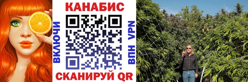 Бошки марихуана гибрид  продажа наркотиков  Тихвин 